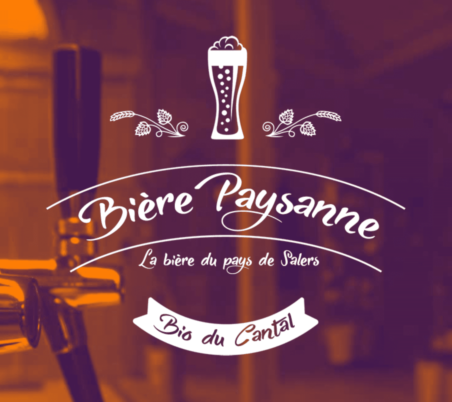 Screenshot 2025-05-05 at 11.12.26.png