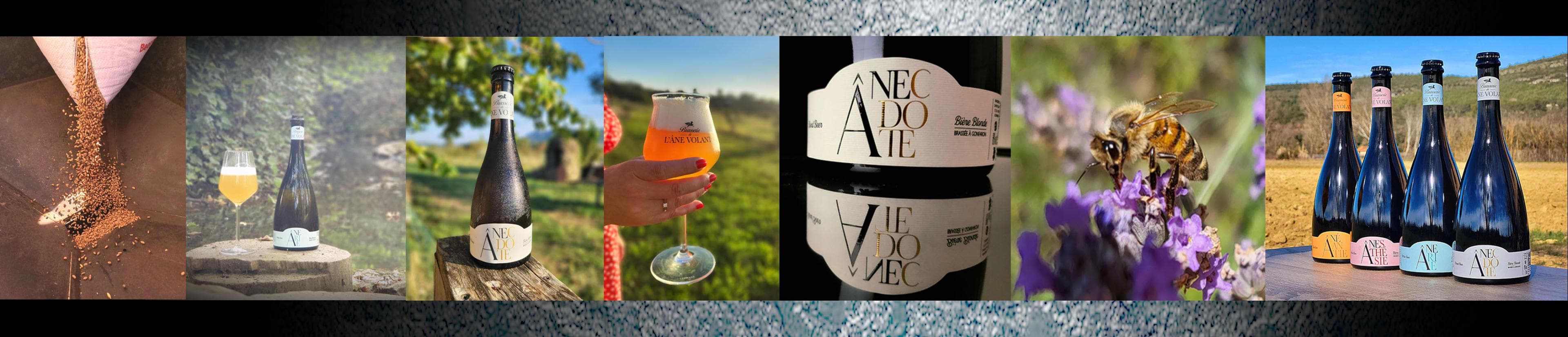 breweries/2024c9db-eeec-4177-bcab-67bffd110cbf/brasserie-de-l-ane-volant-1T4Lf9CIV7n0prf5lQEsPxEF9E8evS.jpg