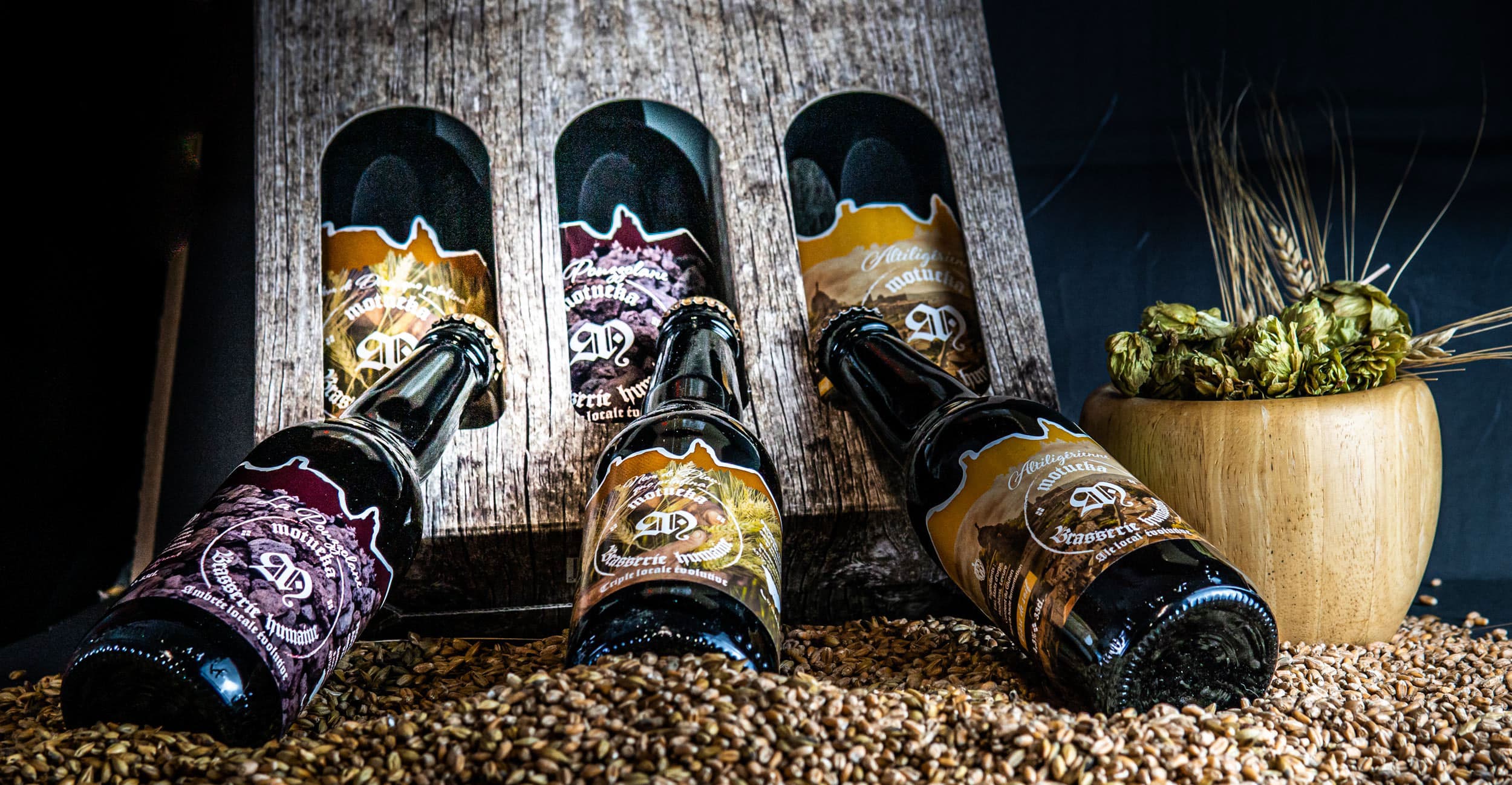 breweries/2c23a554-806b-4c13-8829-9ae67ed22f6c/brasserie-motueka-gZNKcQVontQNoBwvZcKNLZG0c8MC1K.jpg