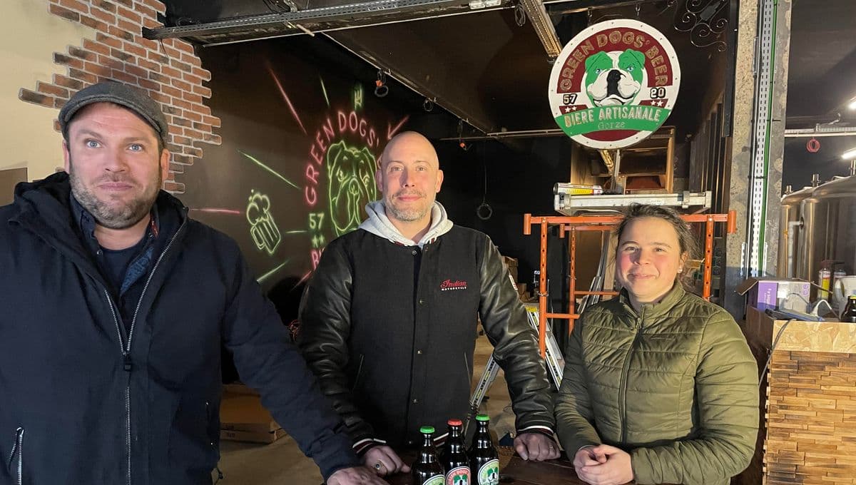 breweries/ba3320fd-74cd-42b9-a0e3-f3e8ddef14ac/green-dogs-beer-9I8UCMCzkG22YVjnPcSQGXNwDMrcAD.jpg