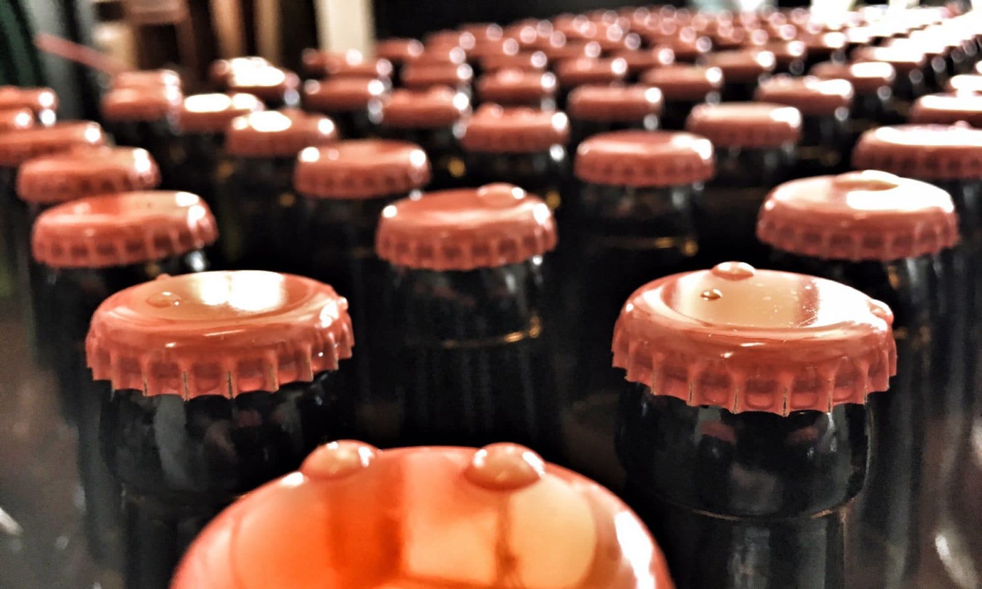 breweries/c93d97d3-7c2e-4c0e-bc6c-76c19404ec9b/la-brasserie-d-a-cote-4b3PBLh9Zl3JVtzGXBSYgzZQovbisL.jpg